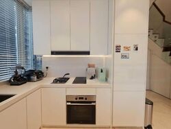 Suites @ Amber (D15), Apartment #464190891